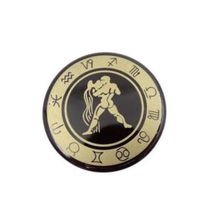 Aquarius Magnet zodiac sign