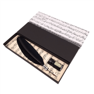 Calligraphy set - black goose pen with nib + ink - 1027