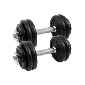 SONGMICS Cast Iron Dumbbell Set 30 kg