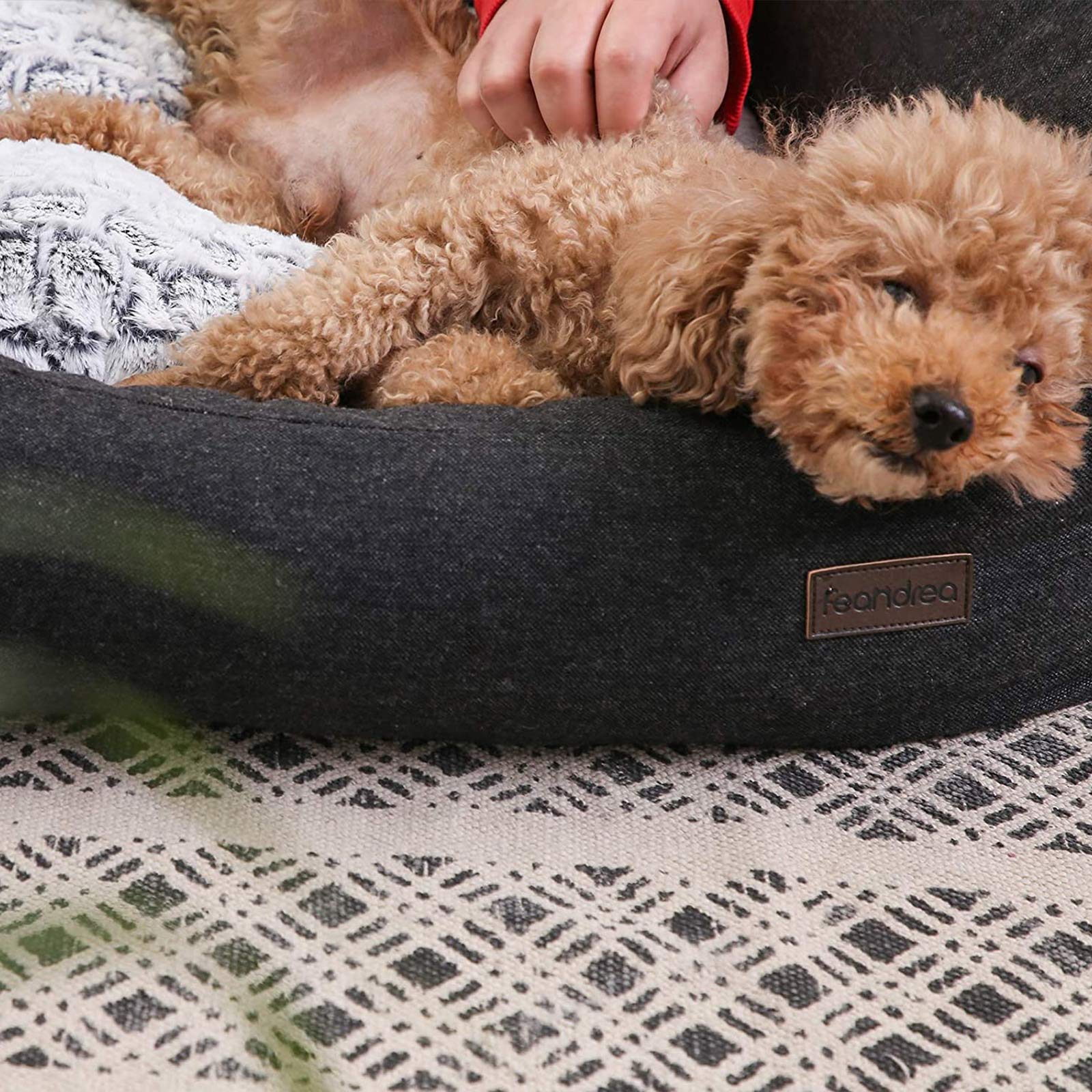 Feandrea dog basket with reversible cushion 80 x 60 x 26 cm - Image 4