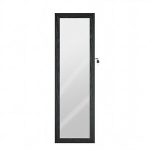 SONGMICS hanging jewelry cabinet with mirror