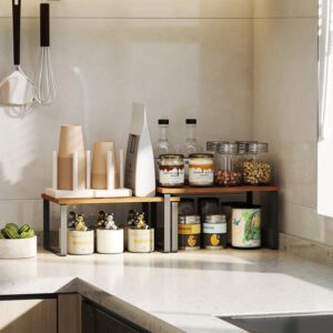 SONGMICS krydderihylde, 2-delt s?t k?kkenorganizer, k?kkenhylde