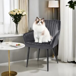 SONGMICS Dining Chair with Armrests max. 110 kg