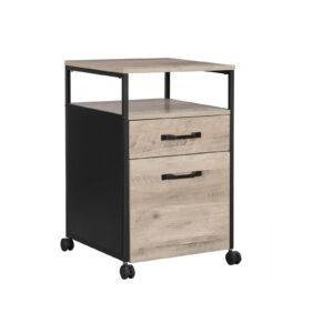 VASAGLE filing cabinet with 2 drawers