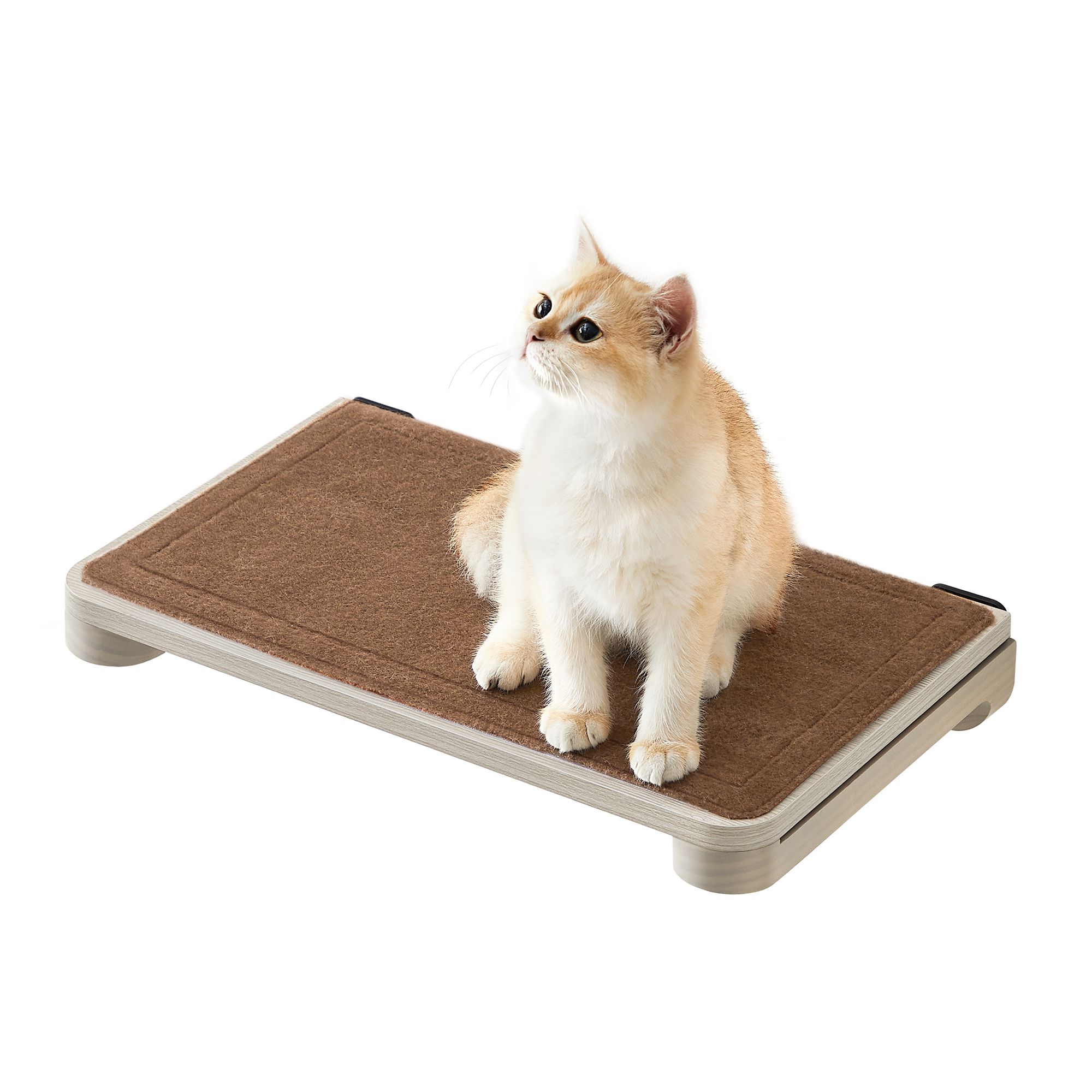 Clickat Clickat Collection - No. 007 Wall-mounted cat board