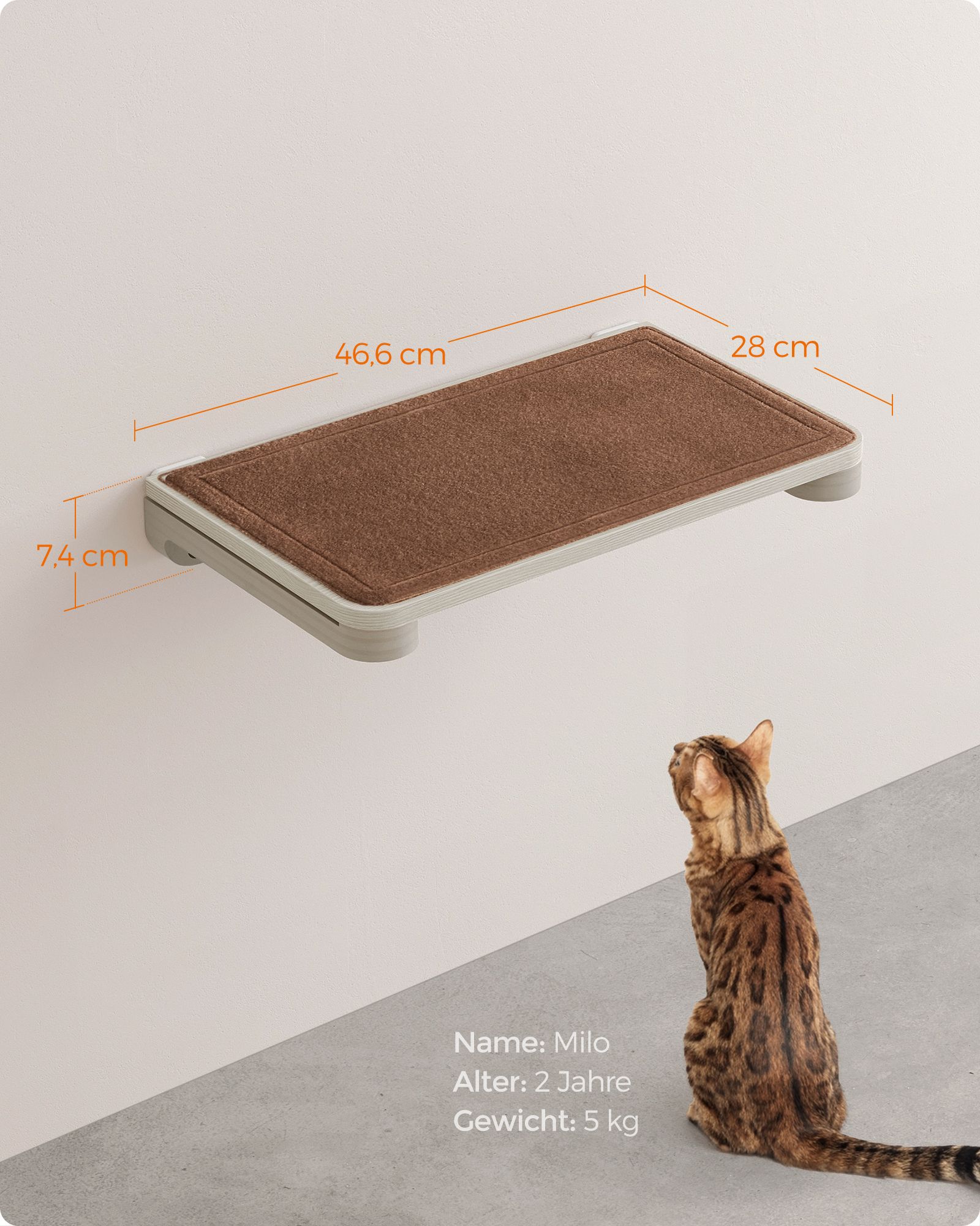 Clickat Clickat Collection - No. 007 Wall-mounted cat board - Image 6