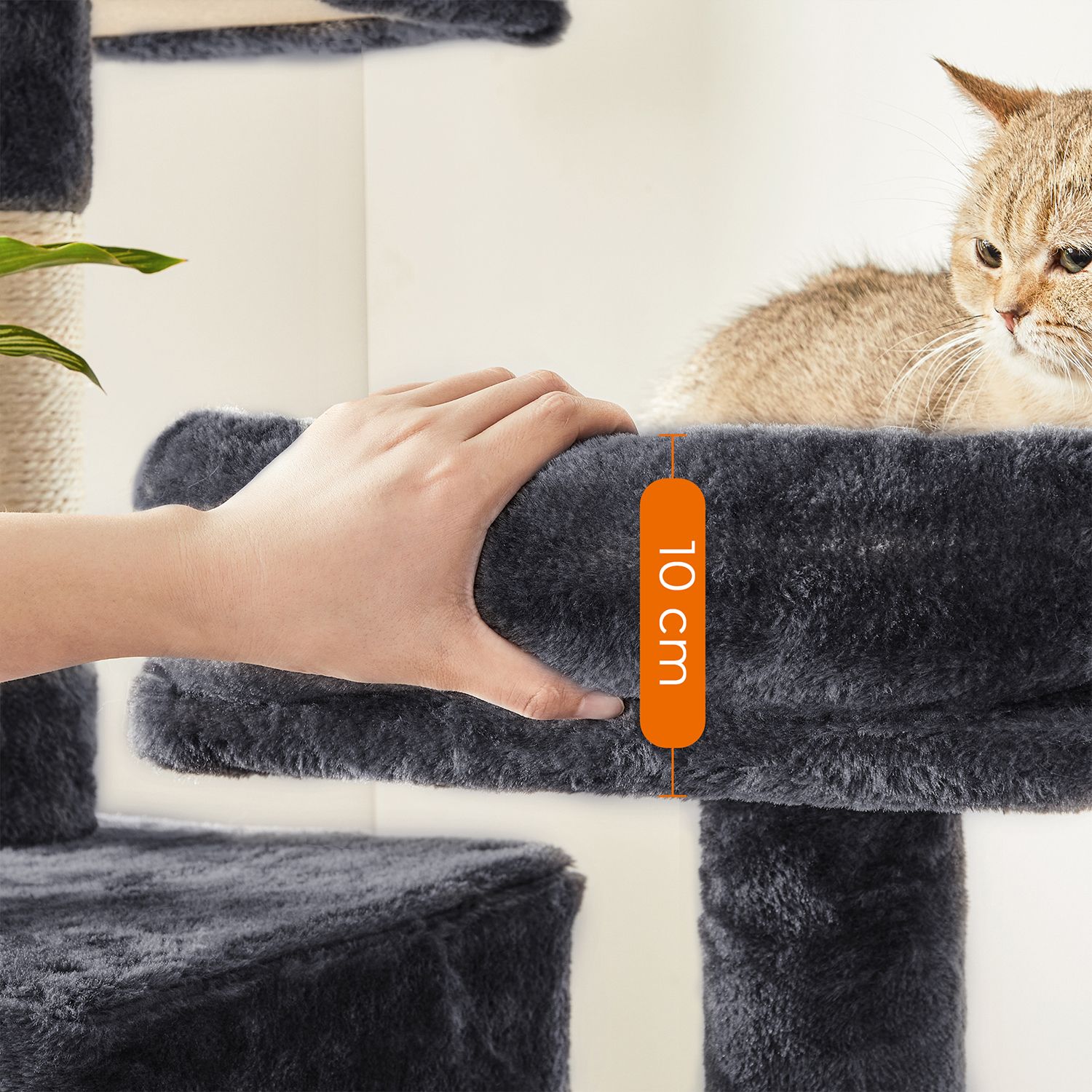 Feandrea 155 cm scratching post with caves - Image 5