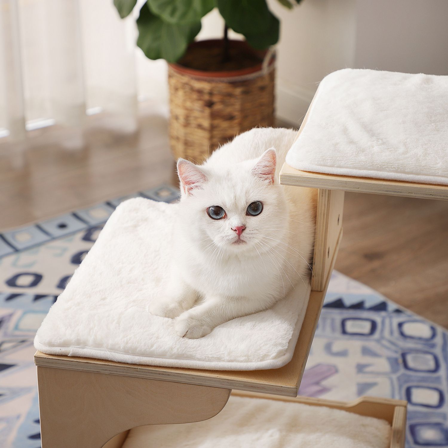 Feandrea kradsetr? 88 cm med aftagelige puder - Billede 4