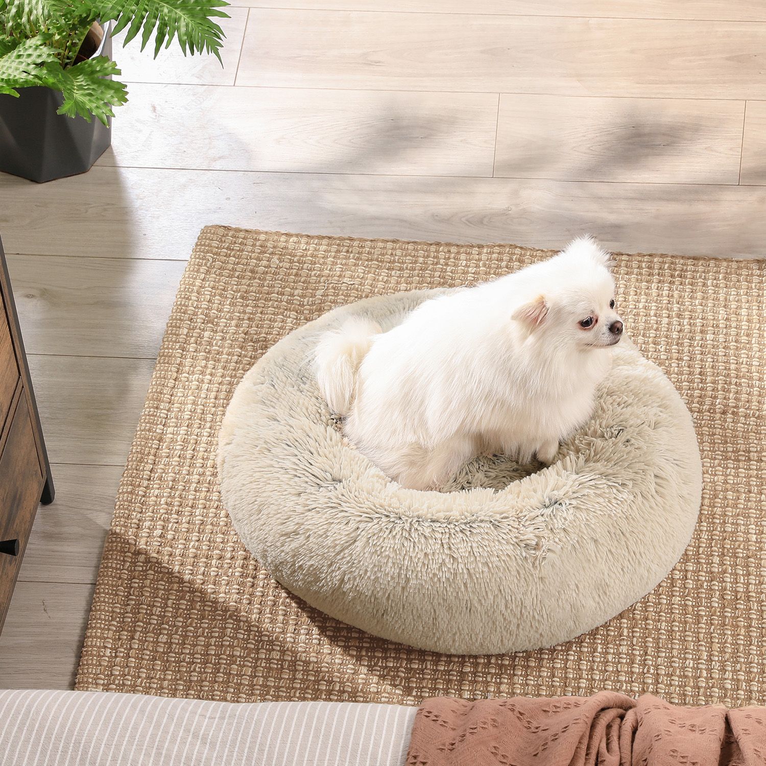 Feandrea Dog Bed Ø 50 cm Softly Padded - Image 5