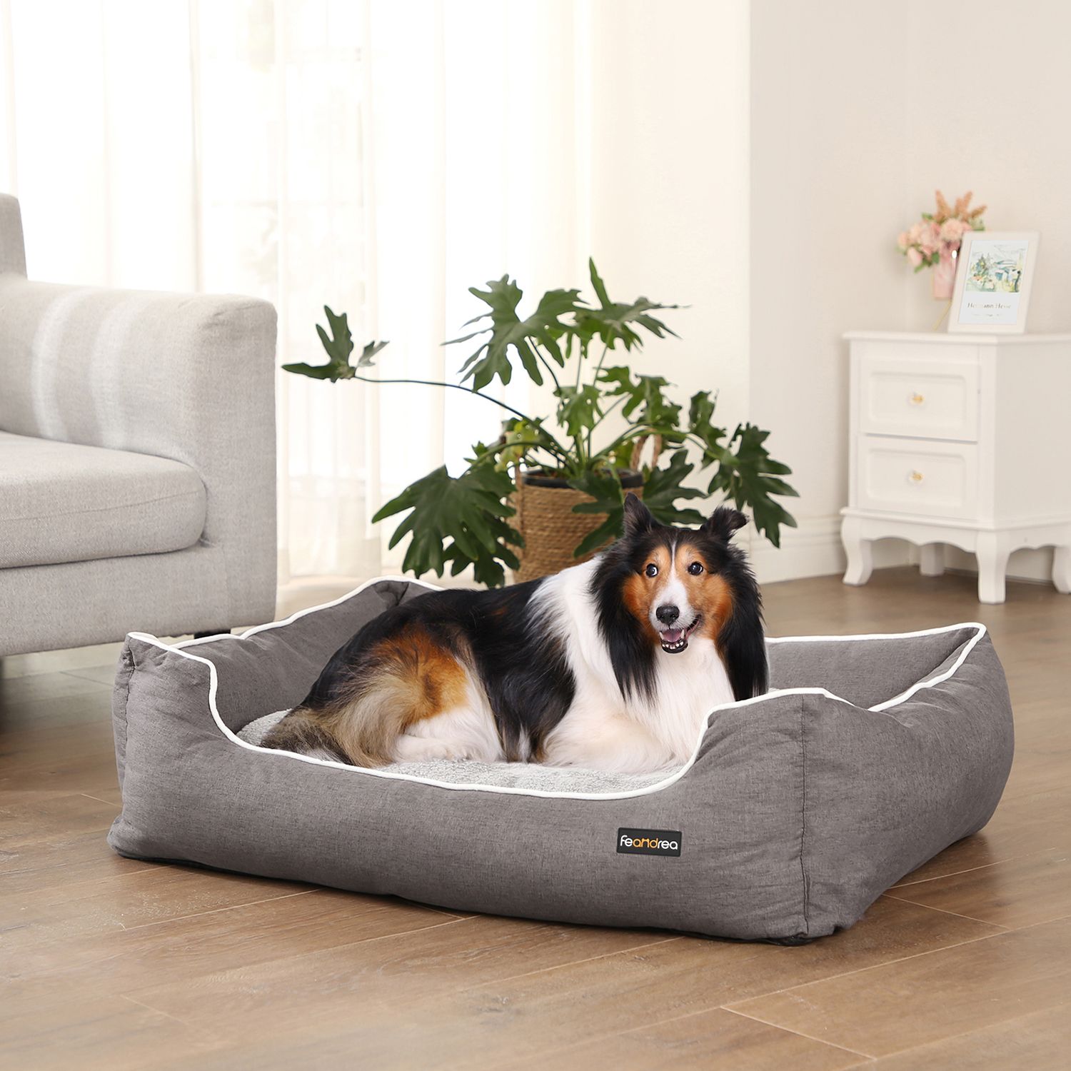 Feandrea hundbädd 100 x 70 cm med kudde - Bild 2
