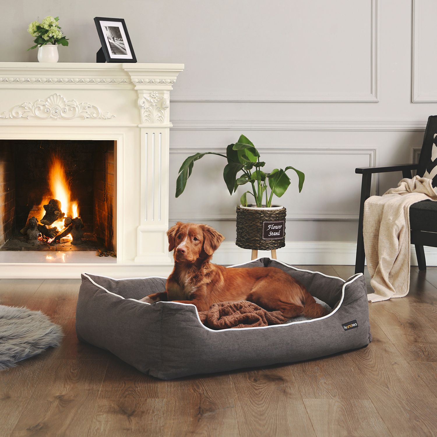 Feandrea hundbädd 120 x 85 cm med kudde - Bild 9
