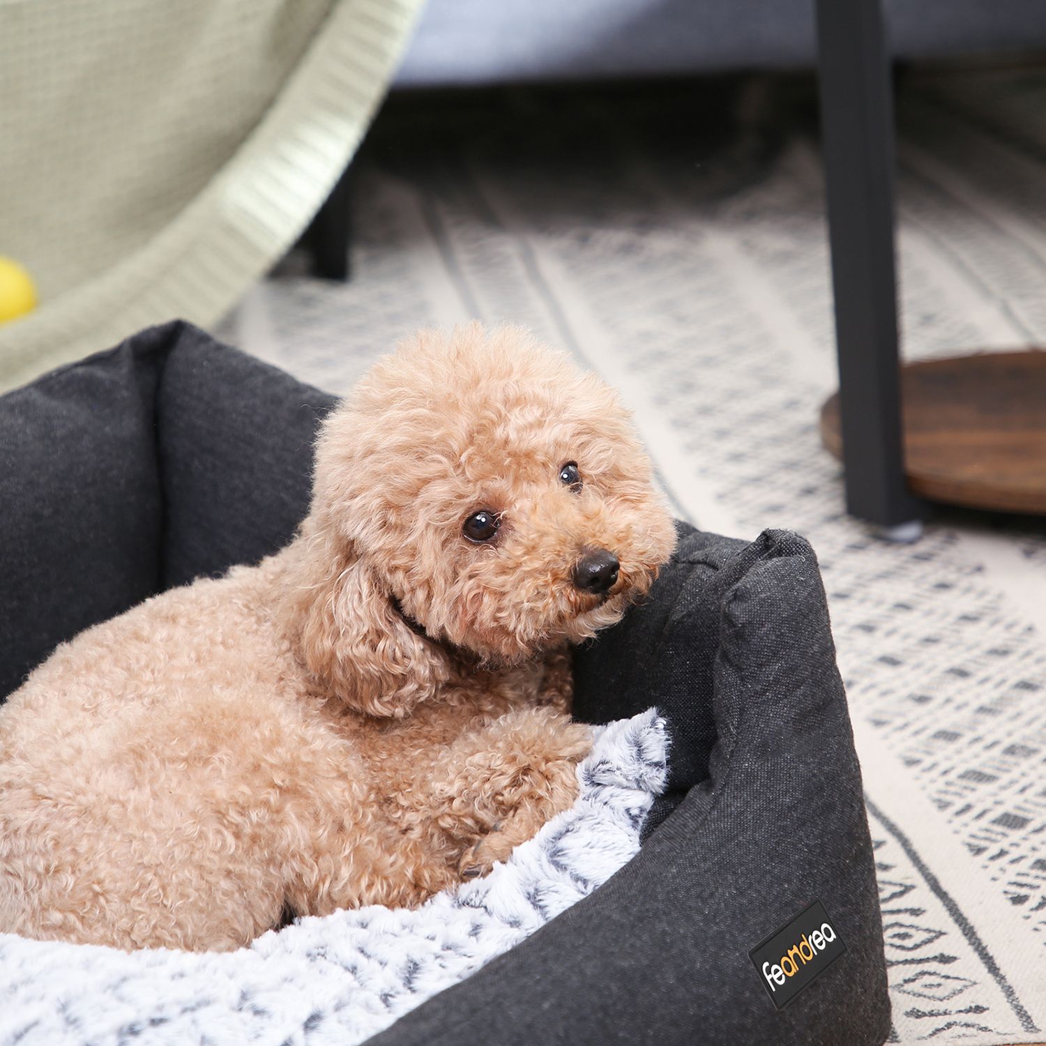 Feandrea koiranpeti käännettävällä tyynyllä 60 x 50 x 20 cm - Image 4