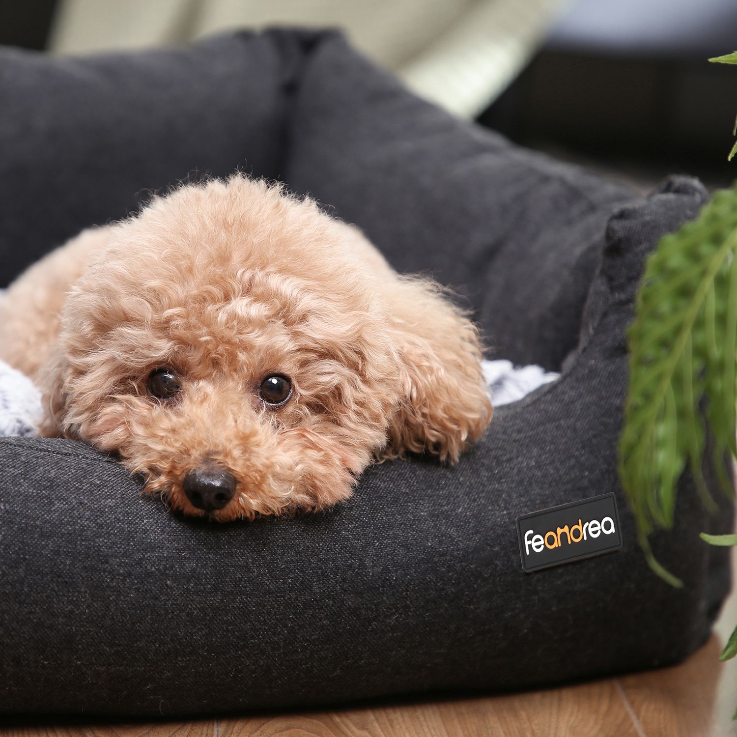 Feandrea koiranpeti käännettävällä tyynyllä 60 x 50 x 20 cm - Image 6