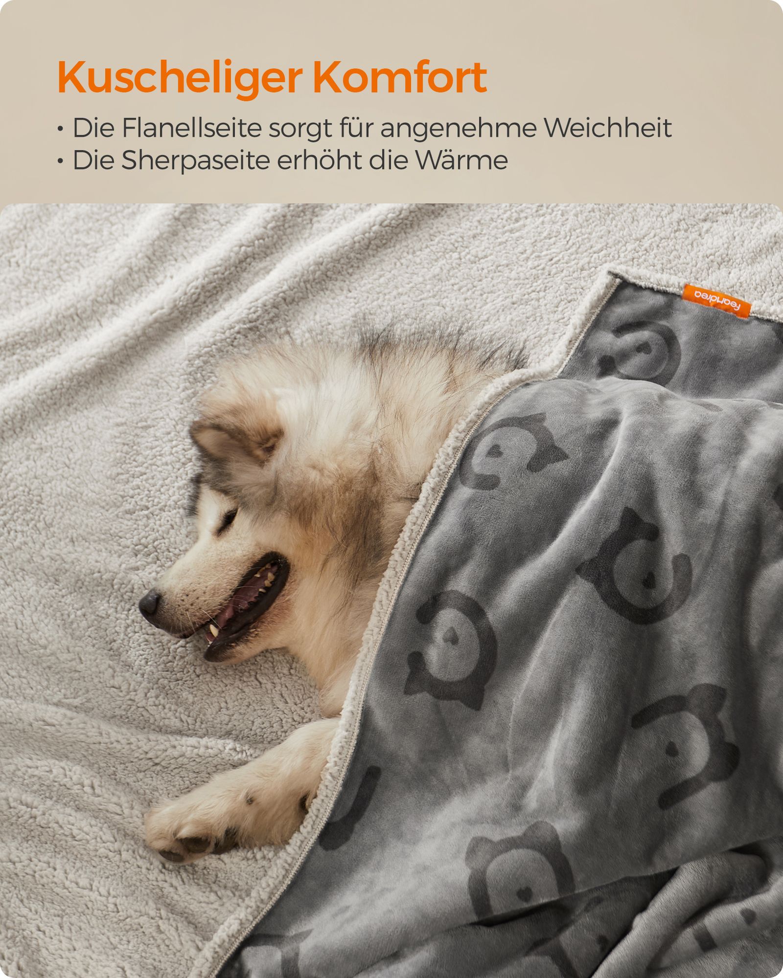 Feandrea koiranpeite ihmisille ja erittäin suurille koirille - Image 4