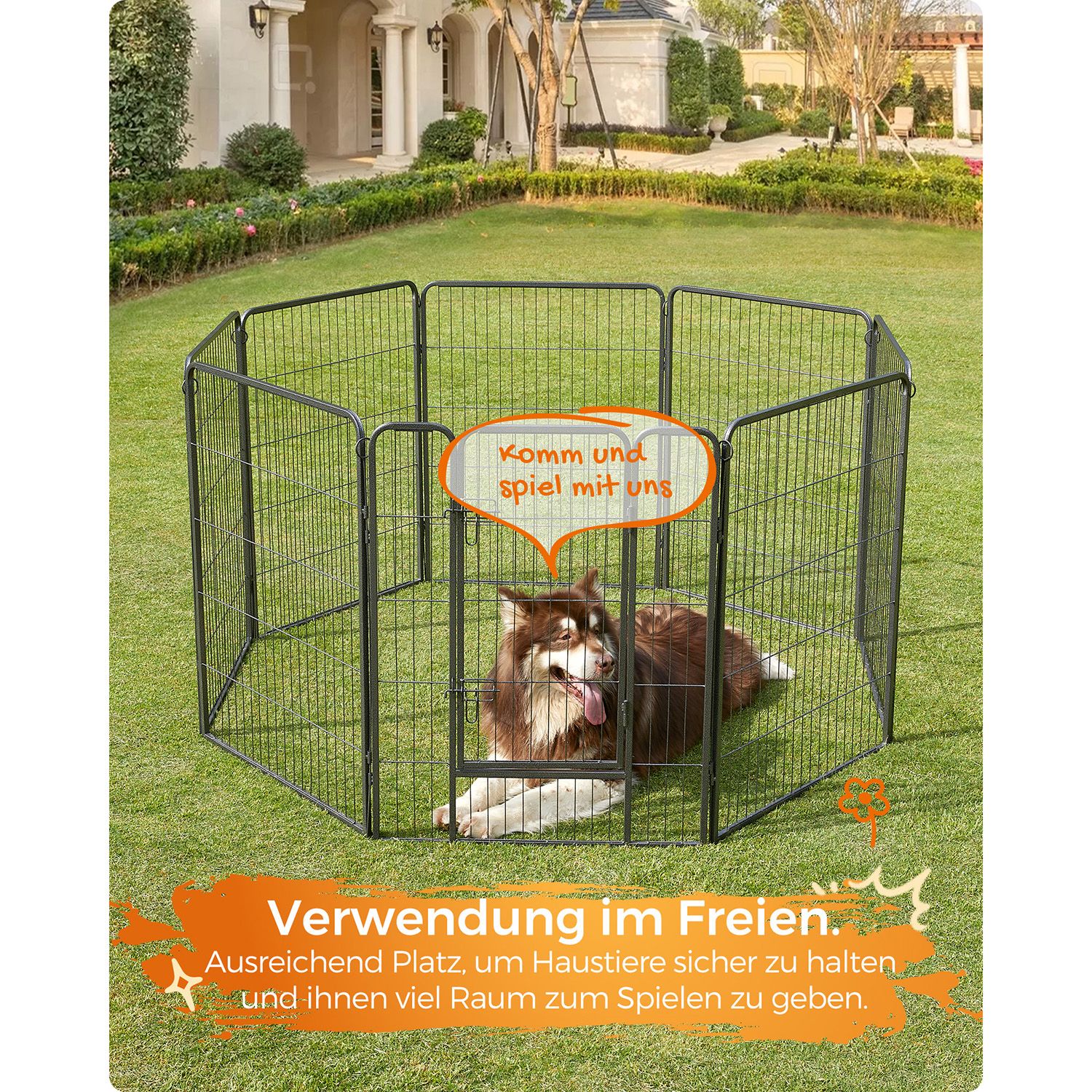 Feandrea 8-kantig utomhusbur - Bild 4