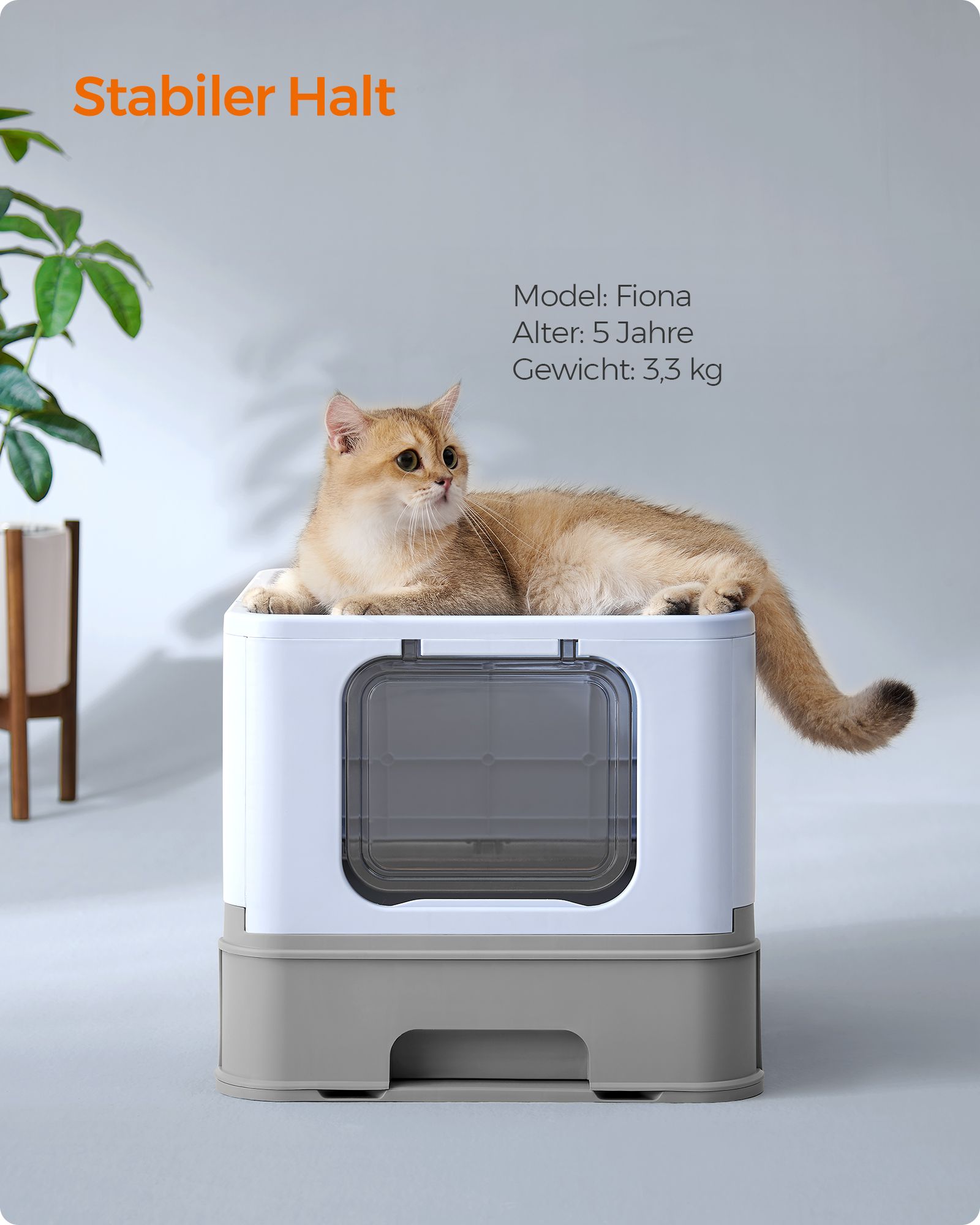 Feandrea kissanhiekkalaatikko kannella ja lapioilla, tilava, vaaleansininen-kyyhkynharmaa - Image 6