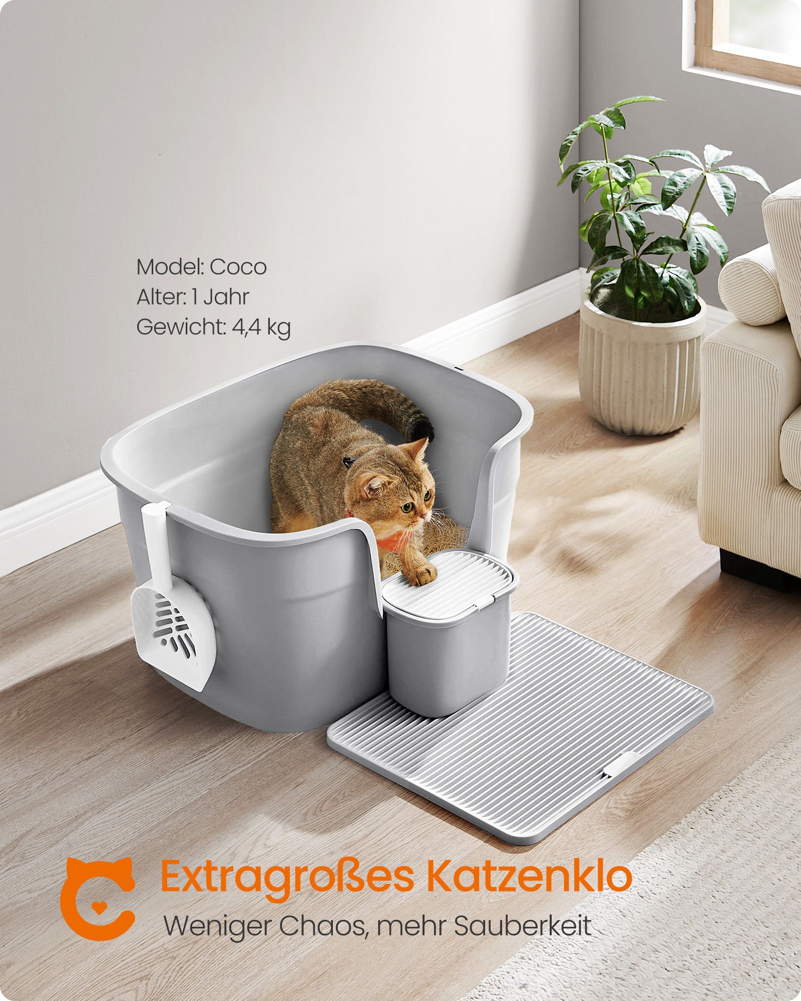 Feandrea kissanhiekka-astia korkeilla sivuseinillä, harmaansininen - Image 2