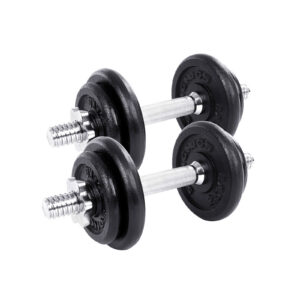 SONGMICS Cast Iron Dumbbell Set