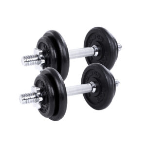 SONGMICS Cast Iron Dumbbell Black