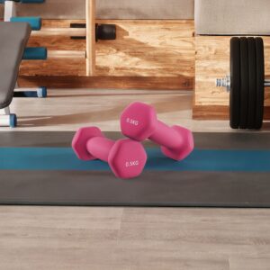 SONGMICS h?ndv?gte 2 x 0,5 kg