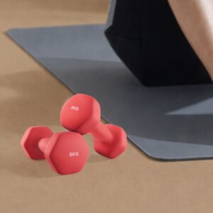 SONGMICS h?ndv?gte, s?t med 2, 2 x 3 kg