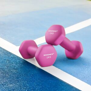 SONGMICS h?ndv?gte, s?t med 2, 2 x 1 kg